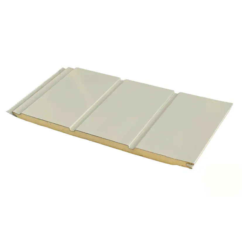 Sandwich Panel (2)