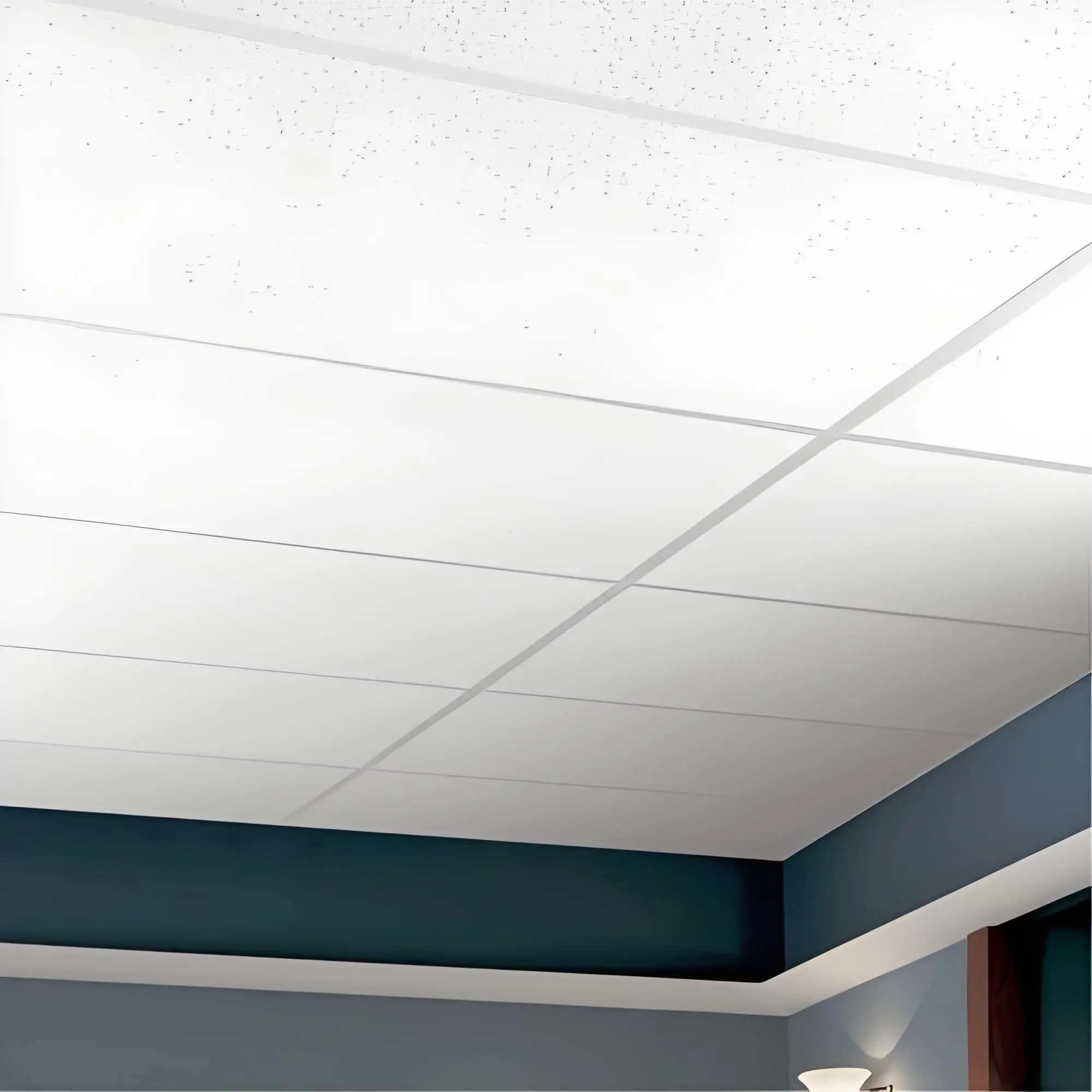 Mineral wool ceiling tile (2)